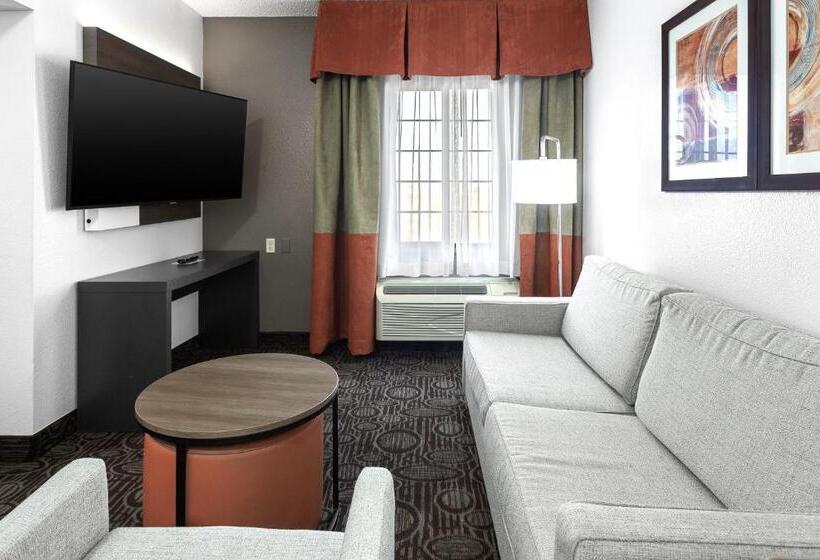 Suíte Superior, Comfort Inn Chandler  Phoenix South I10