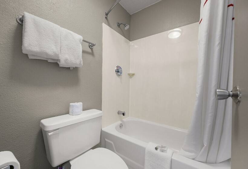 Номер Deluxe, Red Roof Inn Detroit  Royal Oak/ Madison Heights