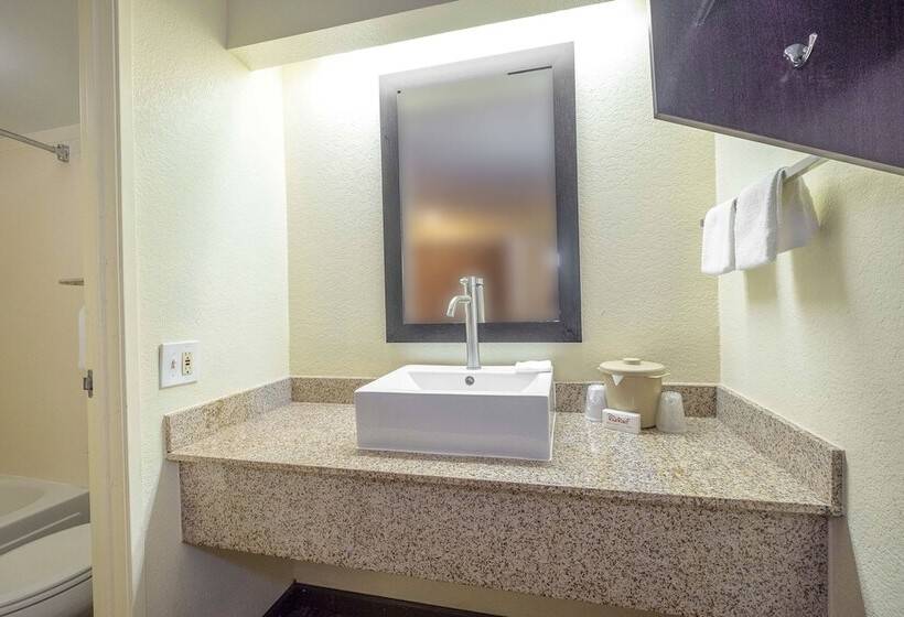 디럭스 룸, Red Roof Inn Jackson North – Ridgeland