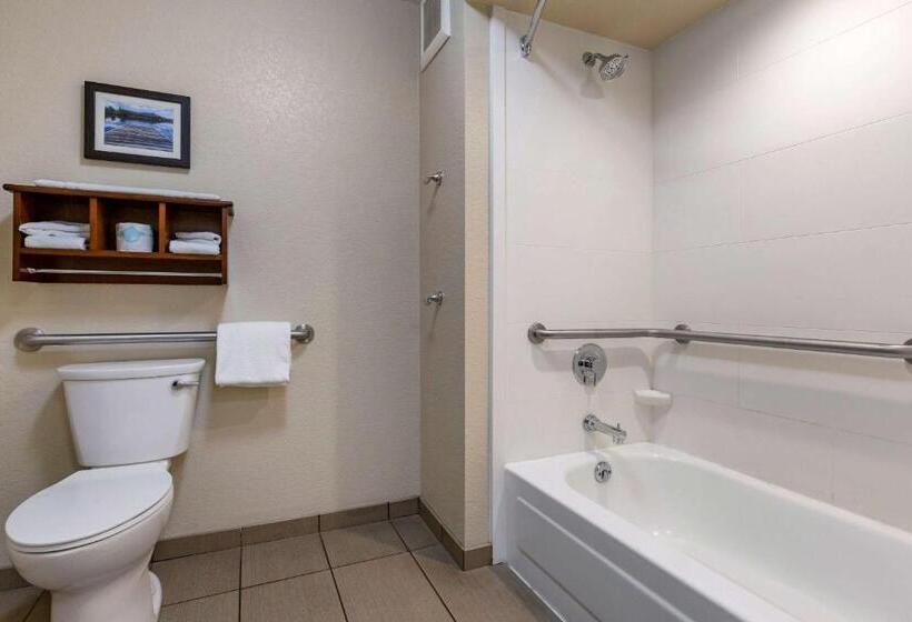 Номер Стандарт Адаптированный для Инвалидов, Comfort Inn & Suites Coeur D Alene
