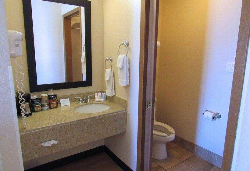 Deluxe Kamer, Red Roof Inn Fargo  I94/ Medical Center