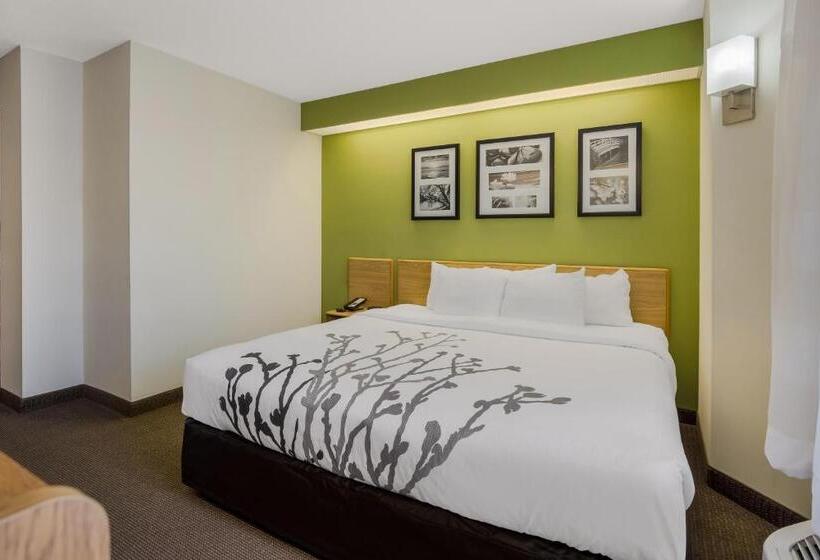 Quarto Estandar Cama King para Deficientes Físicos, Sleep Inn