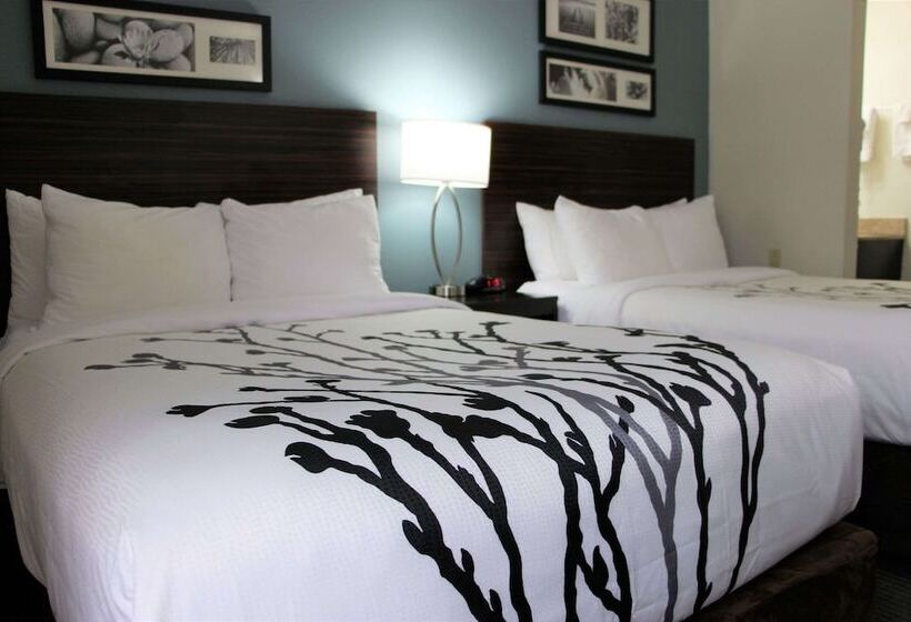 Chambre Standard 2 Lits Doubles, Sleep Inn