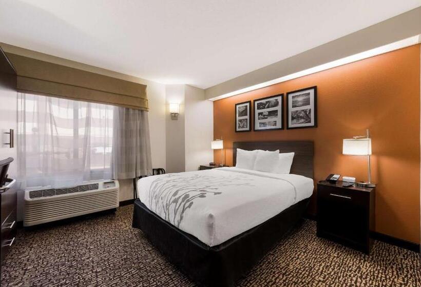 Номер Стандарт Адаптированный для Инвалидов, Sleep Inn Kernersville I 40