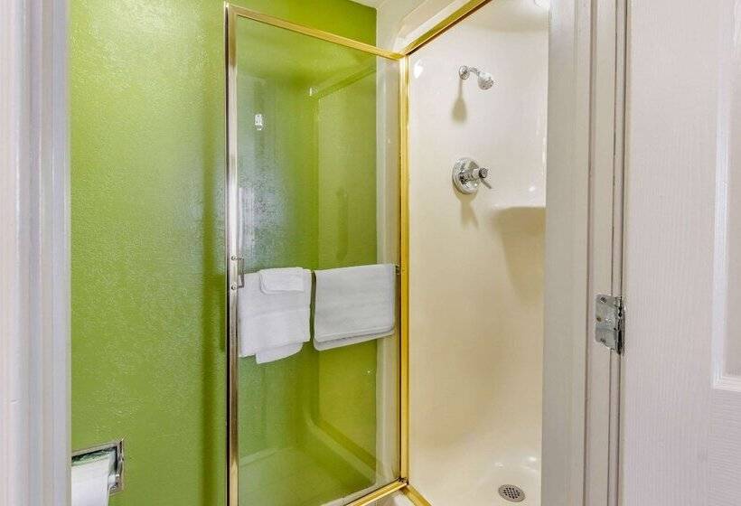 חדר סטנדרט שתי מיטות זוגיות, Sleep Inn Near Busch Gardens   Usf