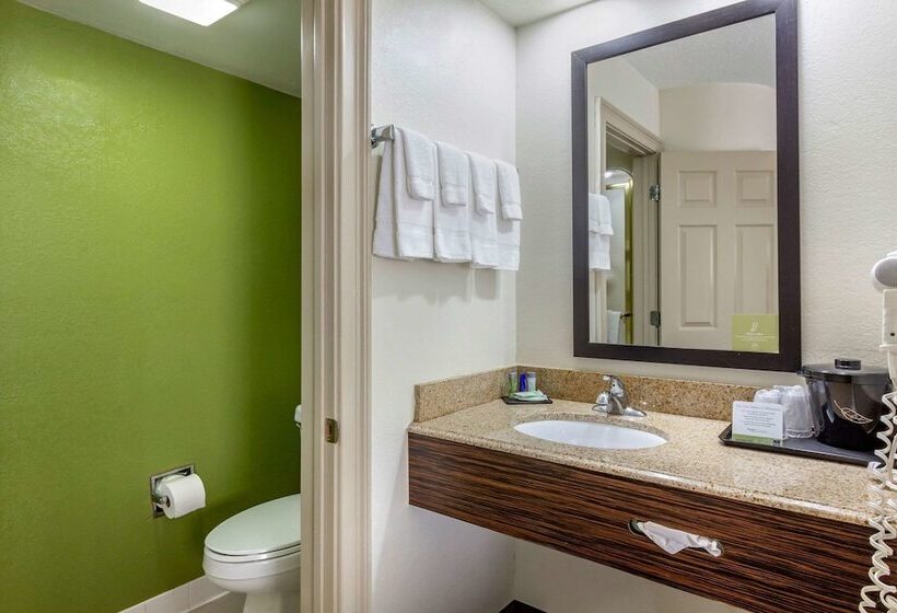חדר סטנדרט שתי מיטות זוגיות, Sleep Inn Near Busch Gardens   Usf