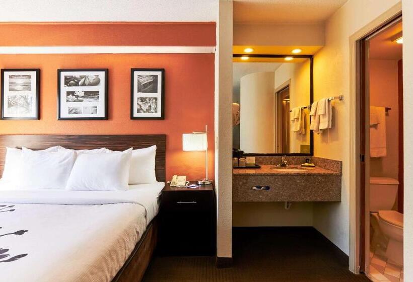 스탠다드 룸 킹사이즈 침대, Bob Hotels Tallahassee   Boutique On Budget