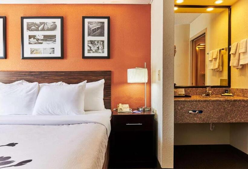 장애인을 위한 스탠다드 룸, Bob Hotels Tallahassee   Boutique On Budget