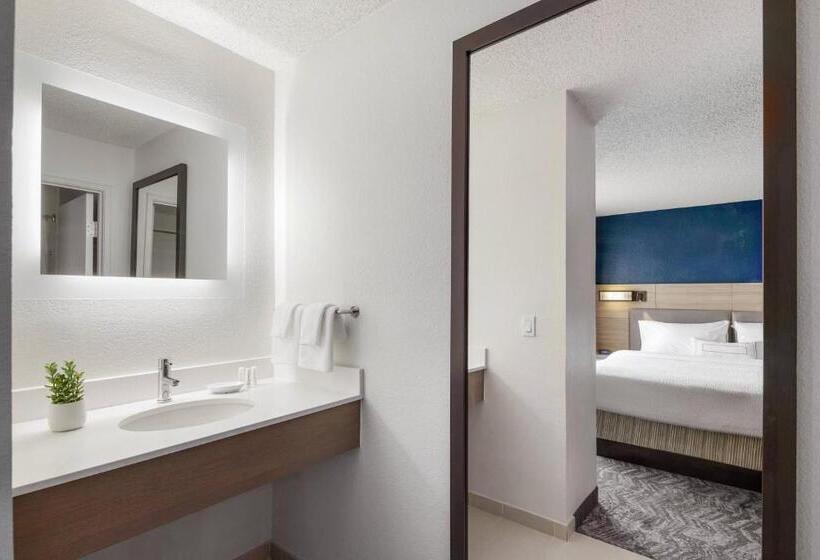Студио Стандарт Кровать Кинг, Springhill Suites Tempe At Arizona Mills Mall