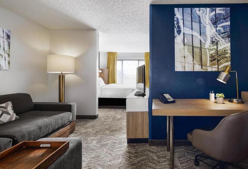 Студио Стандарт Кровать Кинг, Springhill Suites Tempe At Arizona Mills Mall