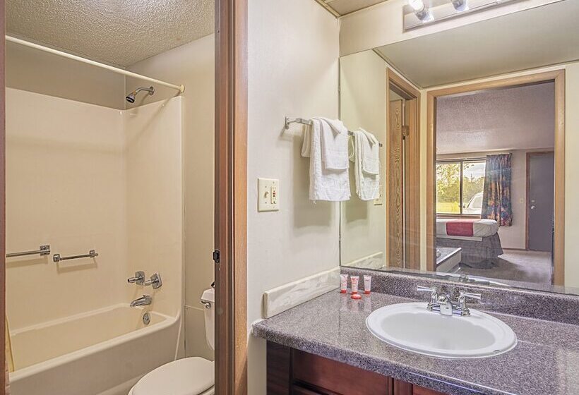 스탠다드 싱글 룸, Oyo Hotel Daleville Al Hwy 84
