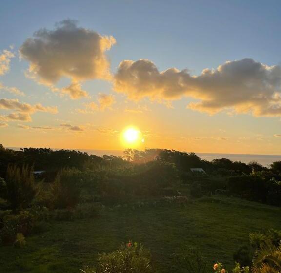 اتاق استاندارد با تخت بزرگ, Teanehi Bed & Breakfast