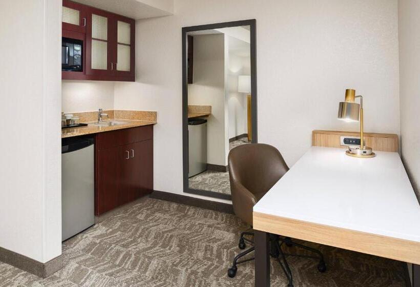 带大床的套房, Springhill Suites Houston Hobby Airport