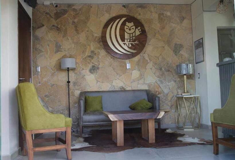 스탠다드 룸 킹사이즈 침대, Texas Inn