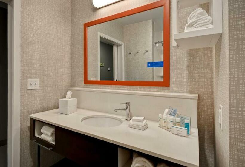 장애인을 위한 스탠다드 룸, Hampton Inn Pleasant View, Tn