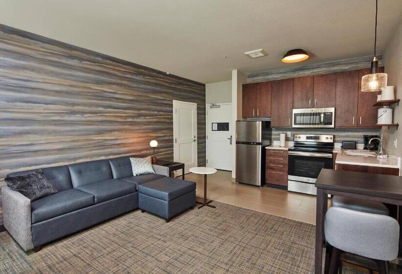 스위트 킹사이즈 침대, Residence Inn Sacramento Davis