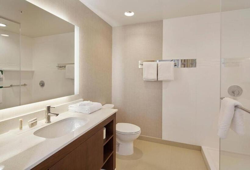 Люкс, Residence Inn Sacramento Davis