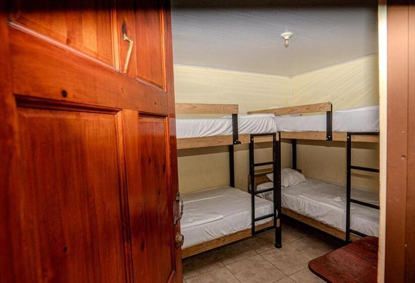 Номер Стандарт Четырехместный Совместный Санузел, Costa Linda Art Hostel