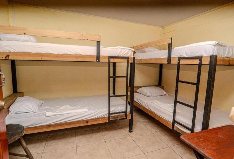 标准四人间共用浴室, Costa Linda Art Hostel