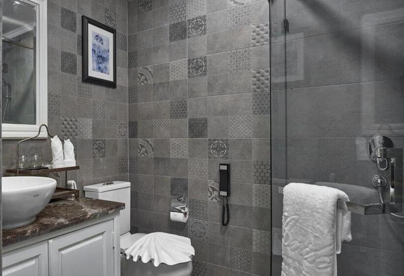 Номер Deluxe Кровать Кинг, Anik Palace