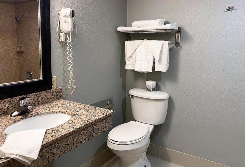 Camera Standard Letto King, Travelodge By Wyndham Bloomington