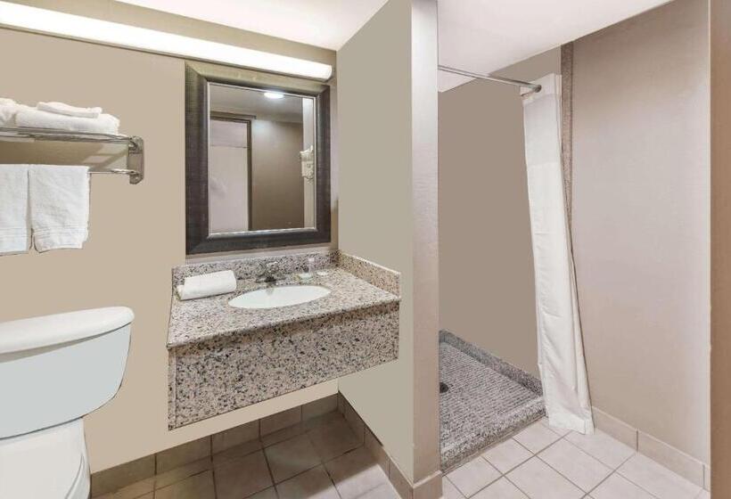 Camera Standard Letto King, Travelodge By Wyndham Bloomington