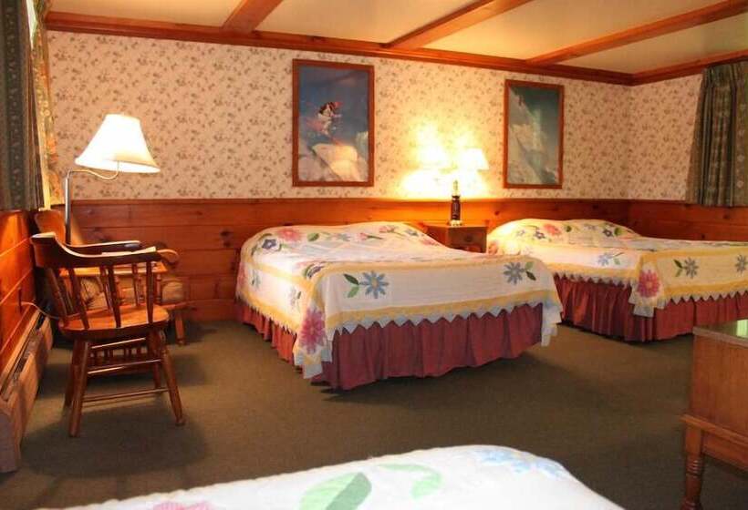 Номер Стандарт, White Trellis Motel