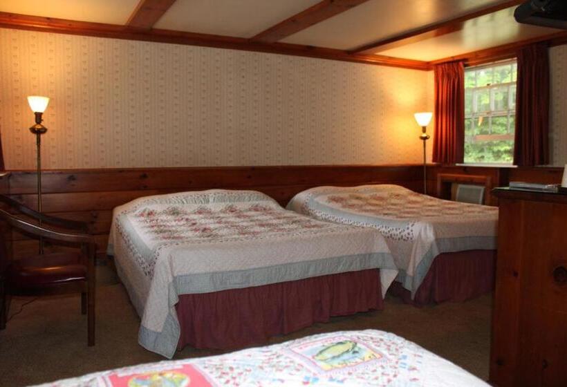 Номер Стандарт, White Trellis Motel