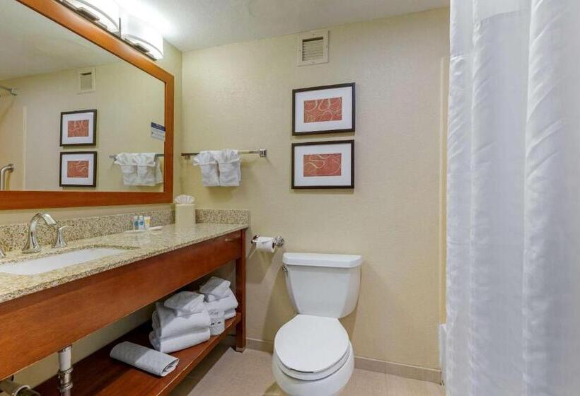 Люкс, Comfort Suites Fredericksburg South
