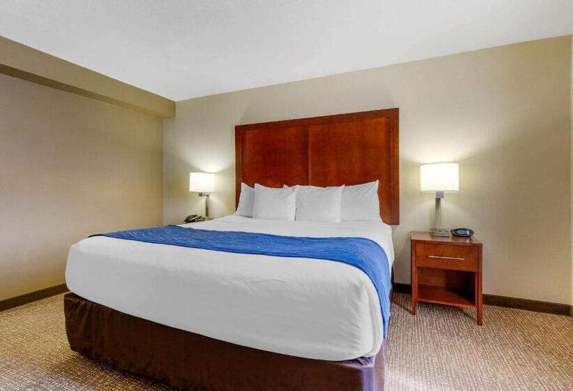 Люкс Кровать Кинг, Comfort Suites Fredericksburg South