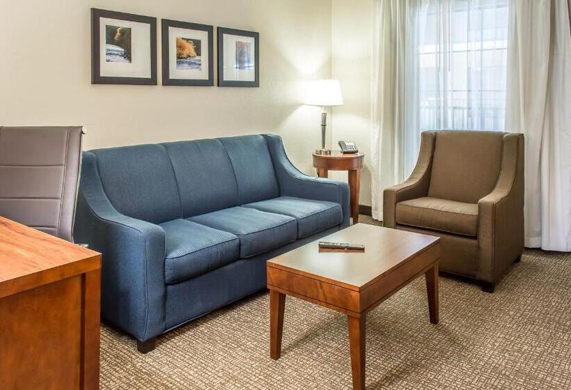 Люкс Адаптированный для Инвалидов, Comfort Suites Fredericksburg South