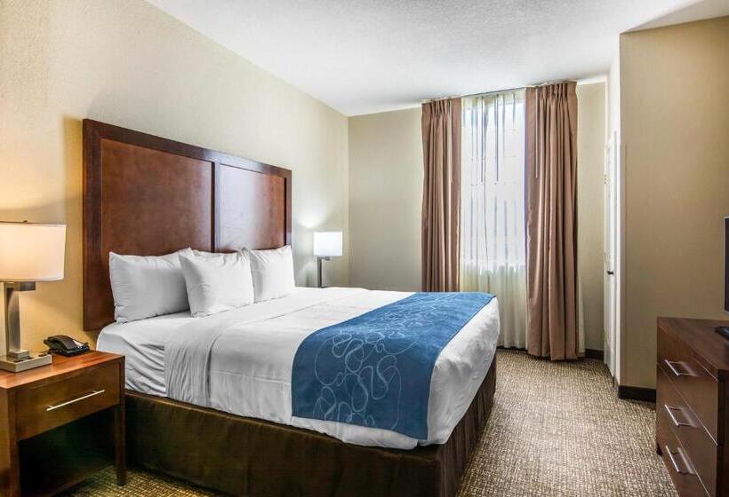 Люкс Адаптированный для Инвалидов, Comfort Suites Fredericksburg South