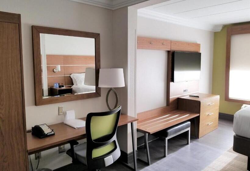 이그제큐티브 룸 킹사이즈 침대, Holiday Inn Express Columbia Ne   Fort Jackson