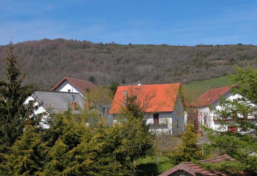Номер Стандарт, Hostal Arostegui