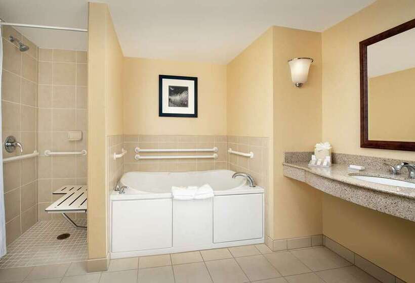 Номер Стандарт, Hilton Orlando Buena Vista Palace   Disney Springs® Area