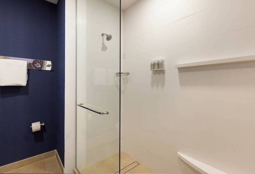 استودیوی استاندارد با تخت دوبل, Residence Inn By Marriott Merida