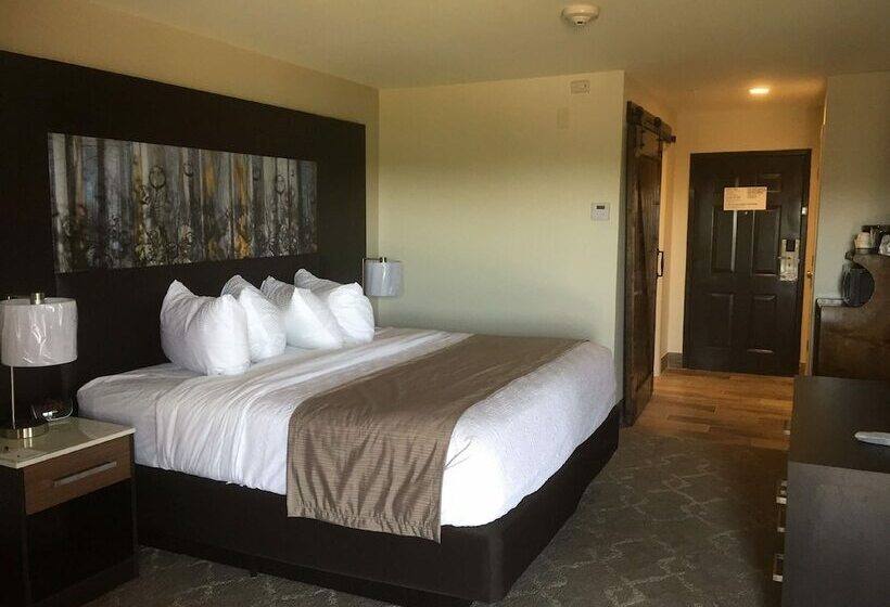 Номер Стандарт Двуспальная Кровать, Aiden By Best Western Warm Springs Hotel And Event Center