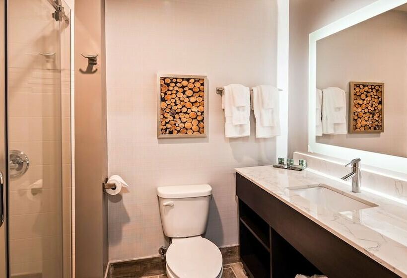 Номер Стандарт Двуспальная Кровать, Aiden By Best Western Warm Springs Hotel And Event Center