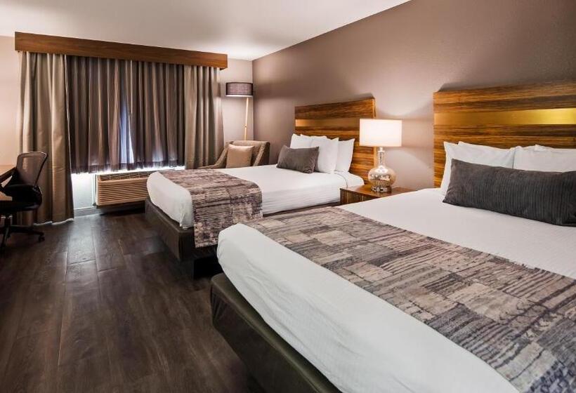 标准间, Best Western Cedar Inn & Suites
