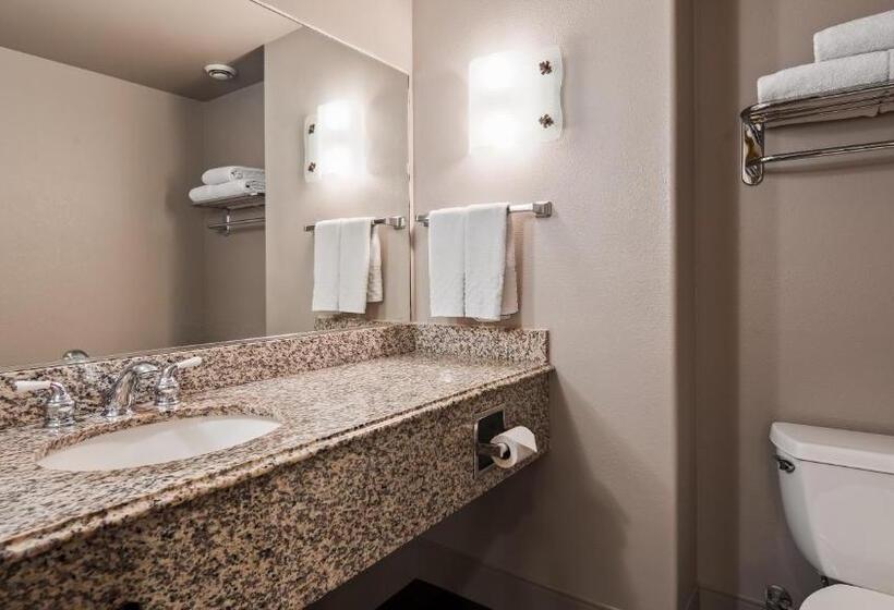 带大床的标准间, Best Western Cedar Inn & Suites