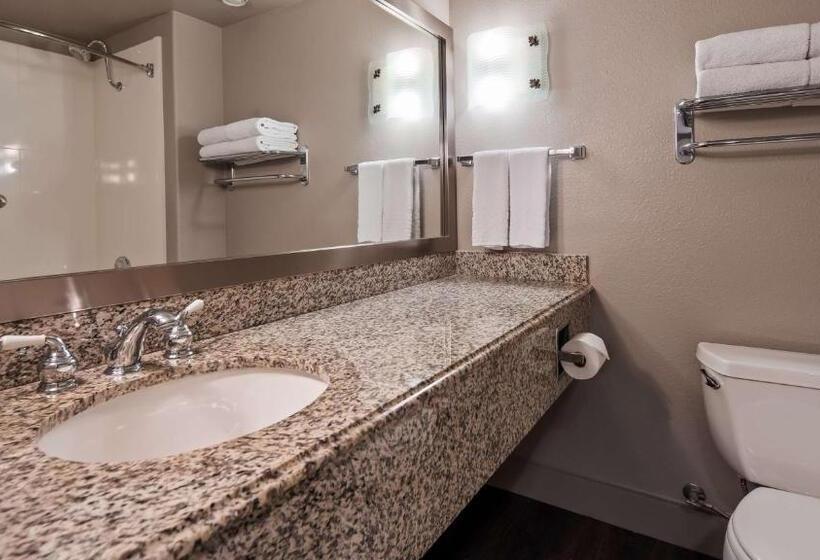 适合残疾人士使用的带超级大床的标准间, Best Western Cedar Inn & Suites