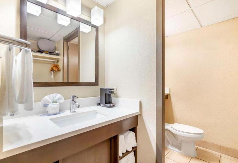스탠다드 룸, Best Western Corpus Christi