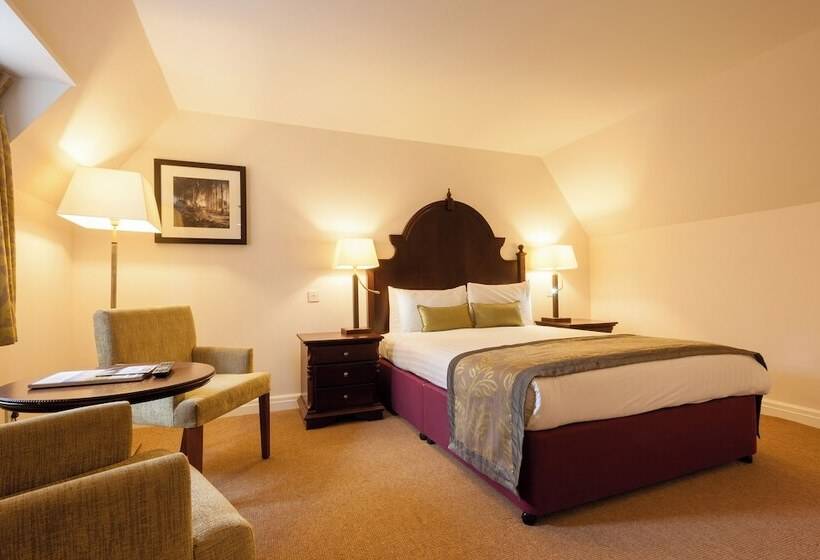 Номер Superior, De Vere Tortworth Court