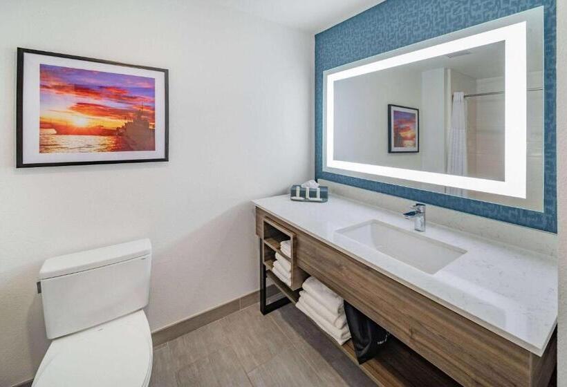 اتاق استاندارد با تخت بزرگ برای معلولان, La Quinta Inn & Suites By Wyndham Texas City I 45