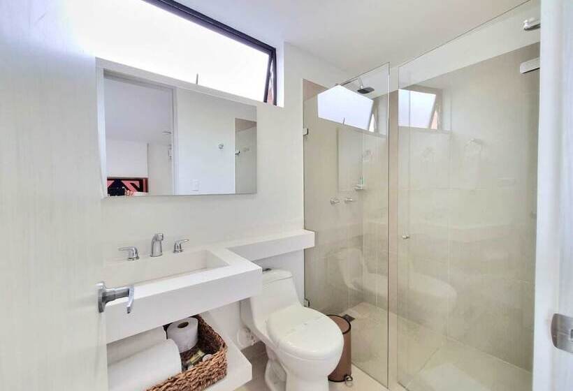 Студия Стандарт, Origen Local Suites