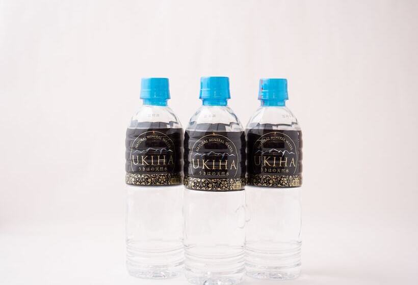 اتاق استاندارد سه نفره, Front Inn Fukuoka Airport
