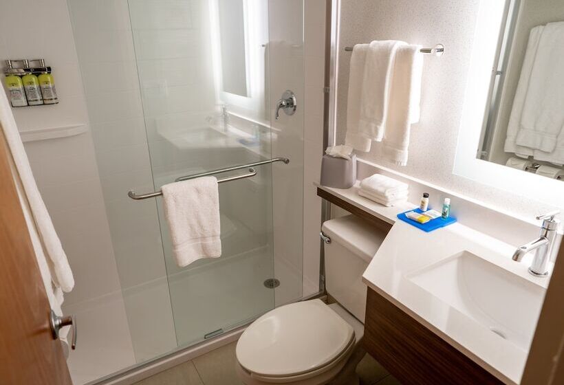 스탠다드 룸 더블 침대 2개, Holiday Inn Express Boston, An Ihg