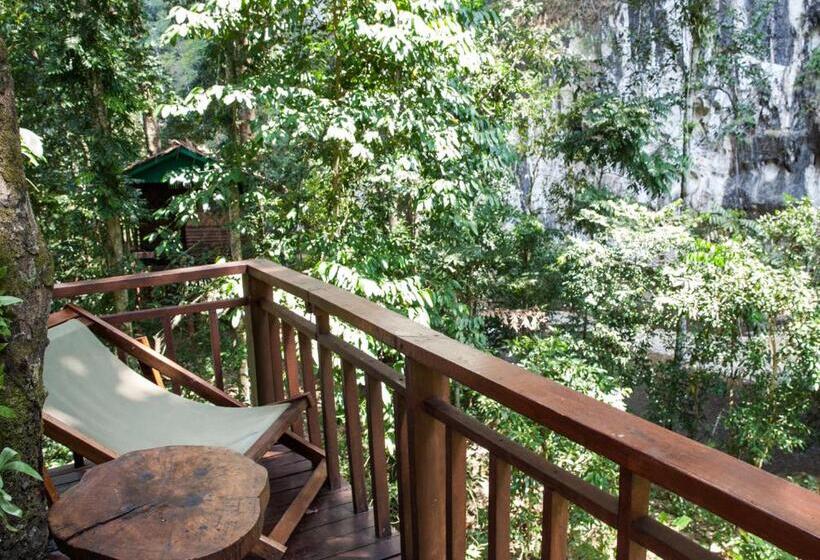 Номер Стандарт, Our Jungle House