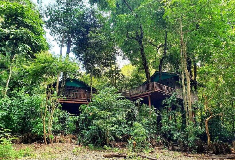Номер Стандарт, Our Jungle House