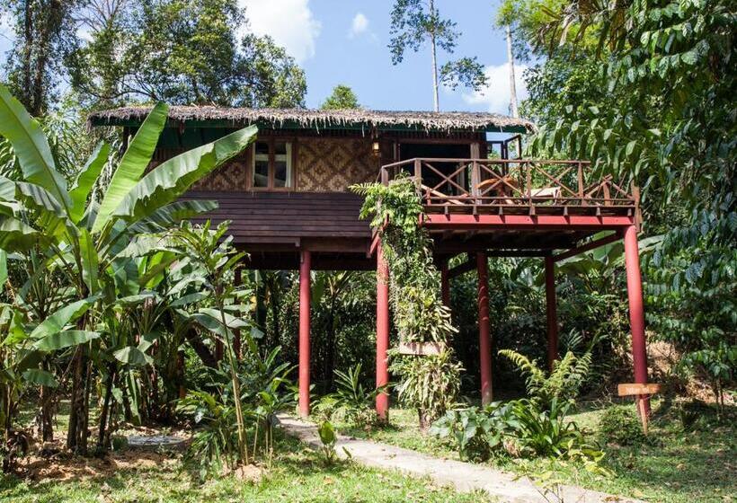 Семейный Номер, Our Jungle House